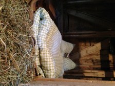 2014-08 Gummenhütte_11